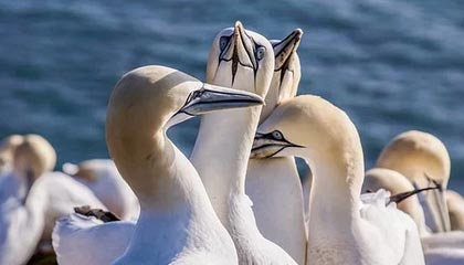 爱游戏体育平台-中国足球比赛场面纷争不断，球员表现抢眼，我国足球比赛